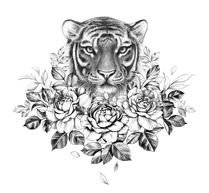 Monochrome Tiger with Rose Flowers Stock Illustration - Illustration of ...