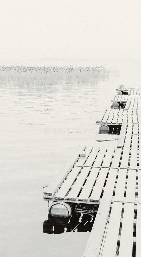 Monochrome взгляд от дока к озеру на туманном утре стоковое фото Monochrome взгляд от дока к озеру на туманном утре стоковое фото