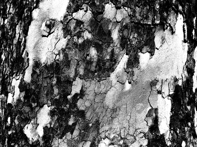 Monochroom textuur. Bitmap textuur van boomschors royalty-vrije stock afbeelding