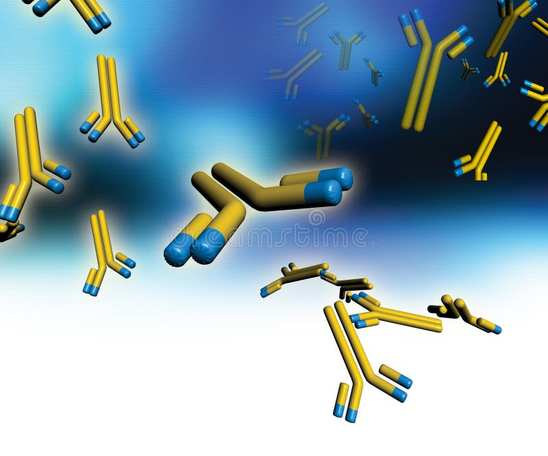 Monoclonal Antikörper lizenzfreie abbildung Monoclonal Antikörper lizenzfreie abbildung