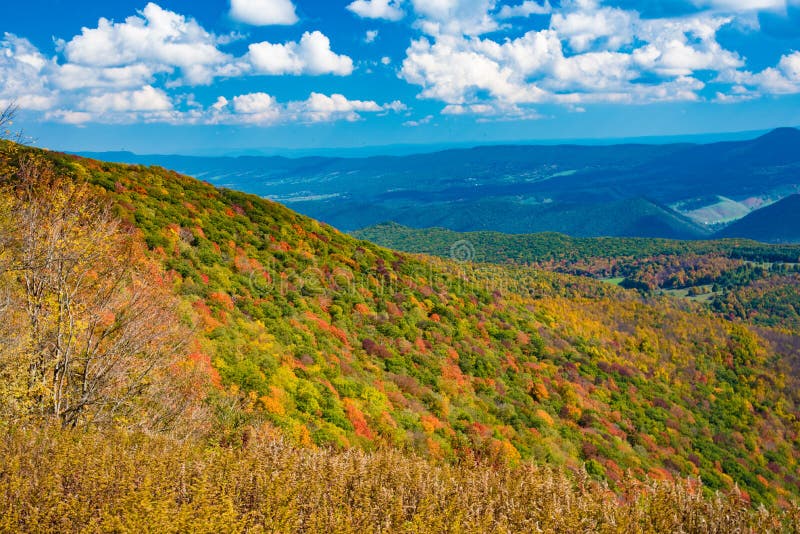 Monongahela National Forest from a Spruce Knob Overlook Stock Photo