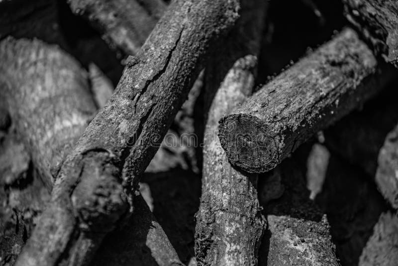 Monotone Mango wood stock photo. Image of hard, material 63758294