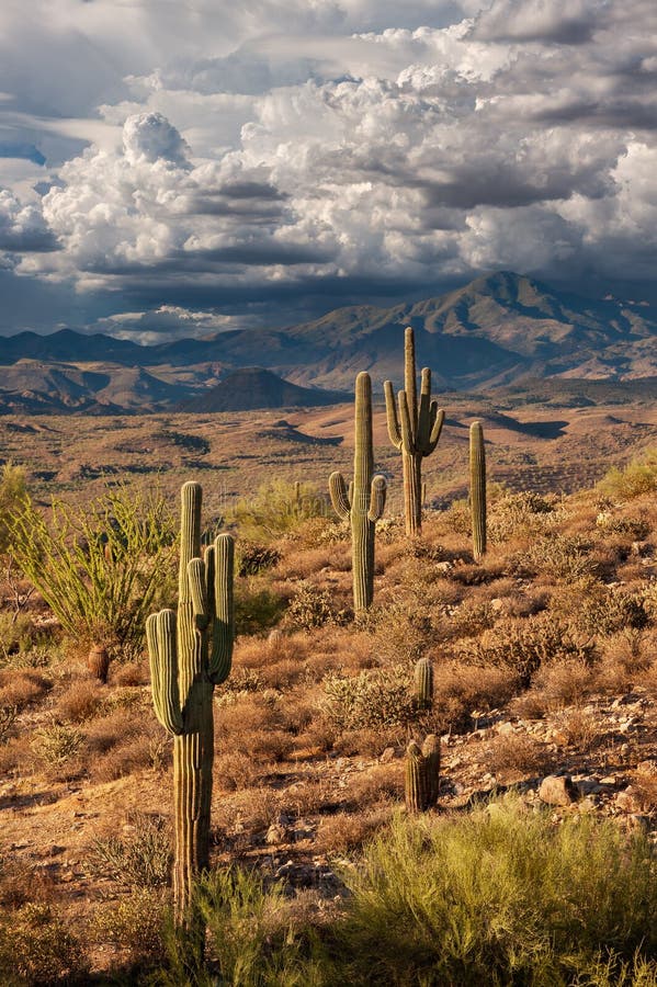 Monsoon Clouds Forming royalty free stock image