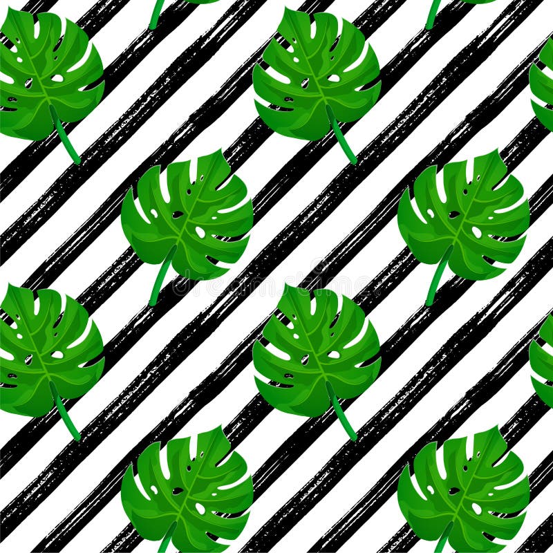 Monstera de modèle de course de brosse illustration stock Monstera de modèle de course de brosse illustration stock
