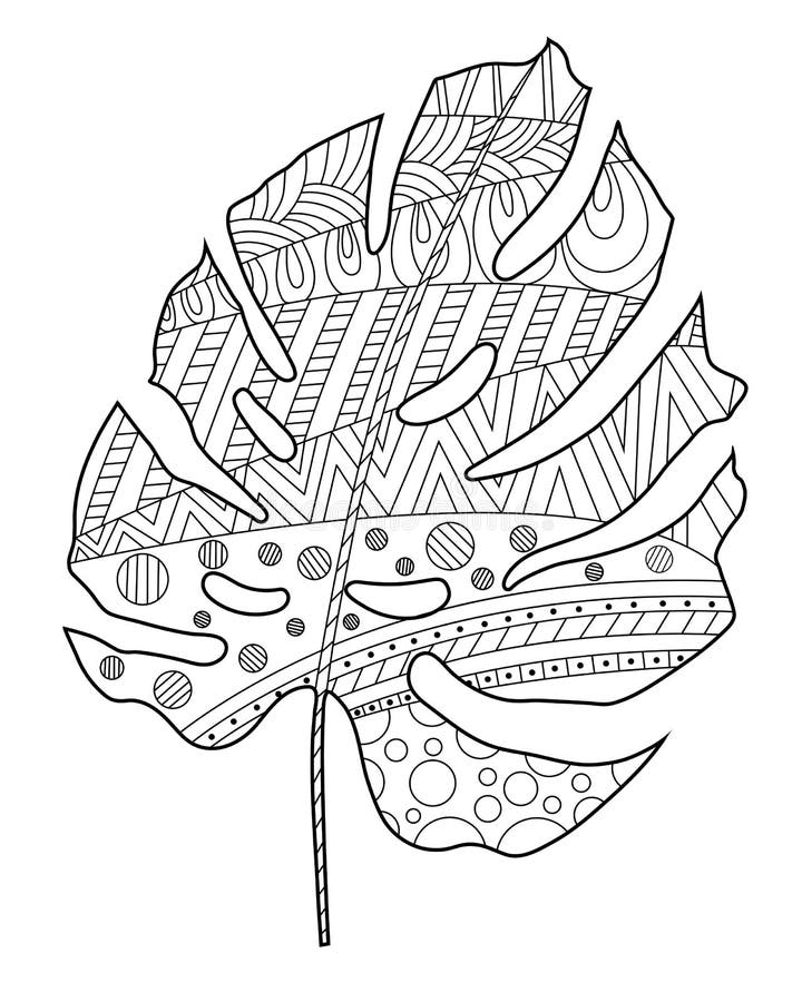 Vector Contour Illustration Of Monstera For Coloring Book Stock Vector