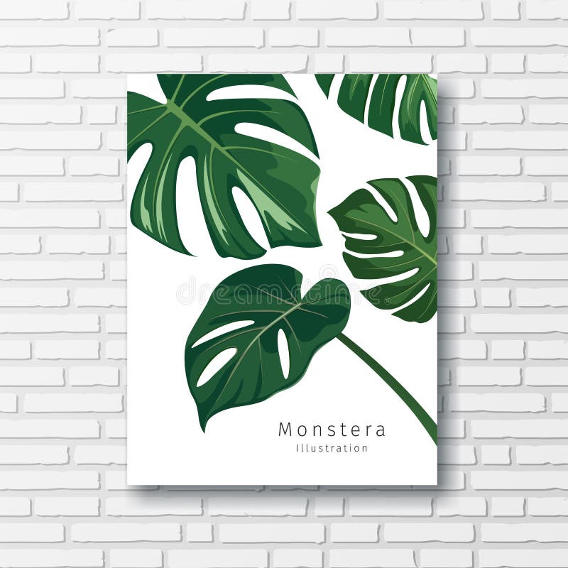 Monstera green-left collecții cadru alb pe fundalul peretelui bloc eps 10 stock illustration