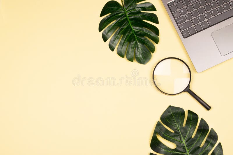 Monstera liście, laptop i powiększać, - szkło obrazy royalty free Monstera liście, laptop i powiększać, - szkło obrazy royalty free