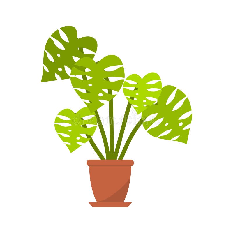 Monstera Plant in Pot for Home Stock Vector - Illustration of leaf ...