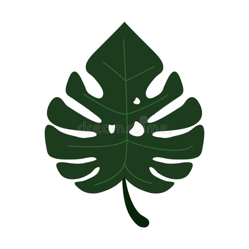 Monstera Tropicalplant Icon Stock Vector - Illustration of branch ...