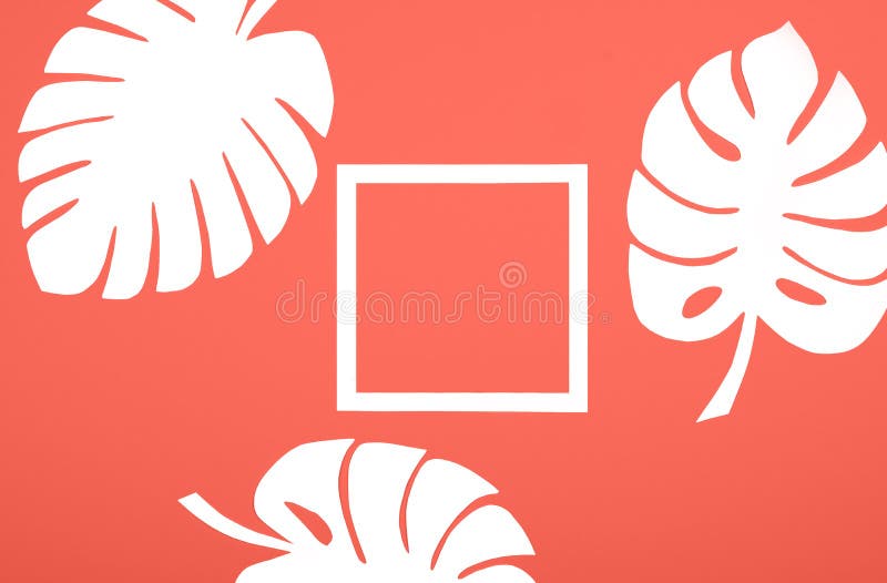 Monstera va sul fondo del carbone con la struttura immagini stock Monstera va sul fondo del carbone con la struttura immagini stock