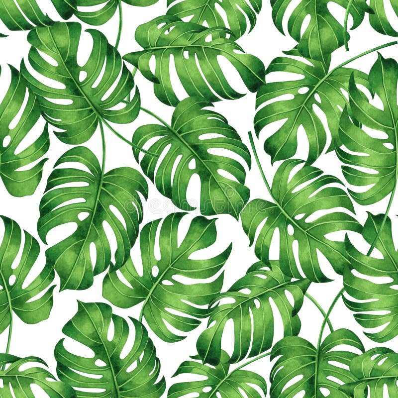 Monstera картины акварели тропическое, лист ладони, предпосылка картины зеленого разрешения безшовная Tropica иллюстрации руки ак иллюстрация вектора