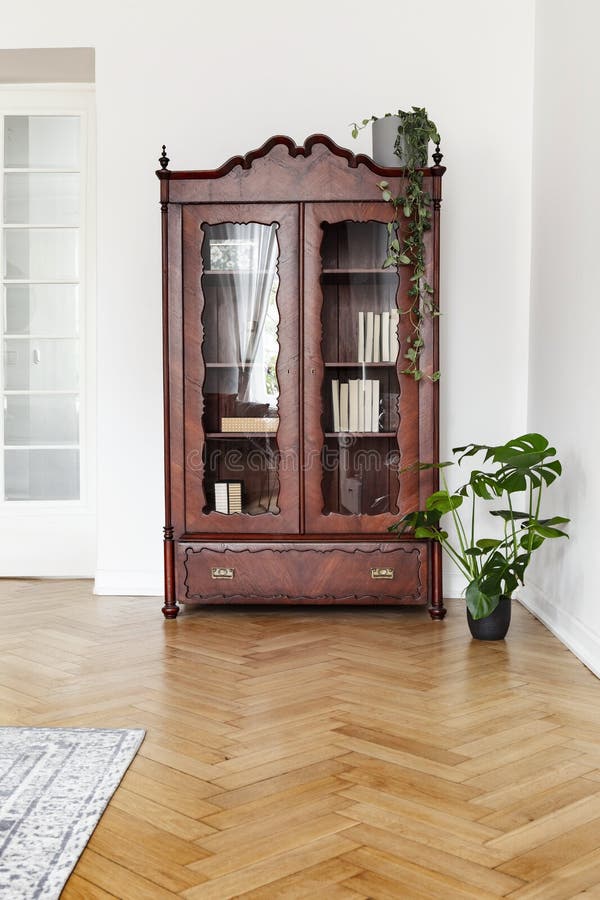 Monsterainstallatie naast een donker houten vertoningskabinet met glasdeuren in een wit woonkamerbinnenland met flo van het visgr stock afbeelding Monsterainstallatie naast een donker houten vertoningskabinet met glasdeuren in een wit woonkamerbinnenland met flo van het visgr stock afbeelding