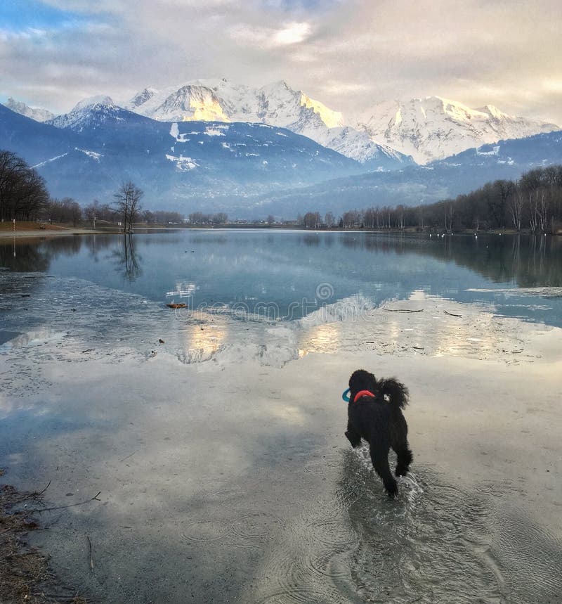 Mont Blanc odbijał w Lac Passa zdjęcia stock Mont Blanc odbijał w Lac Passa zdjęcia stock