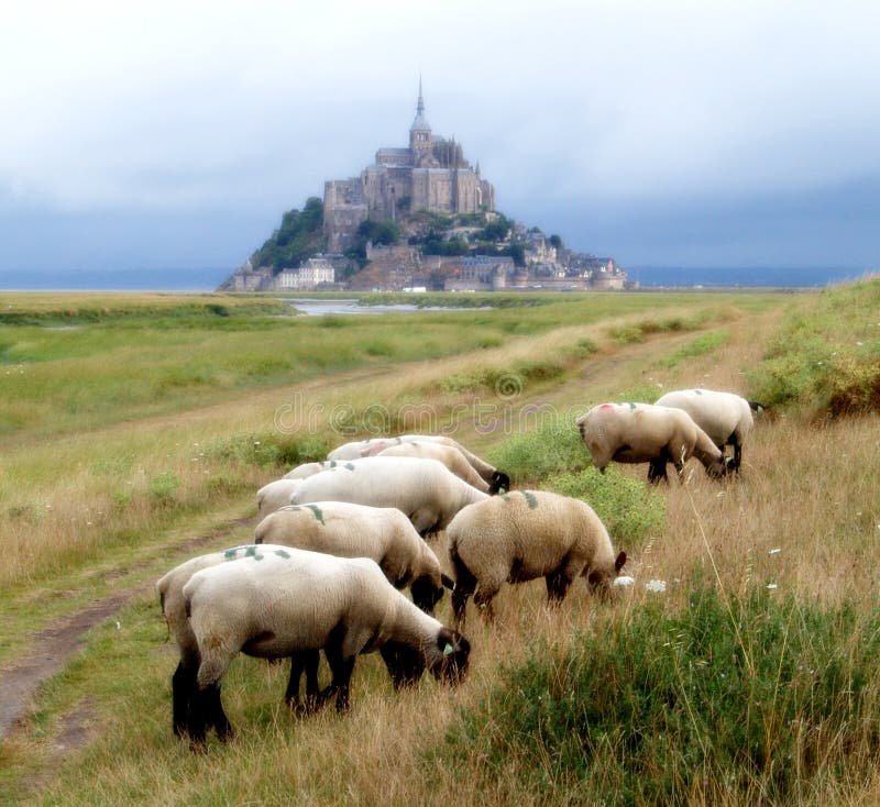 Mont Saint Michel Bay