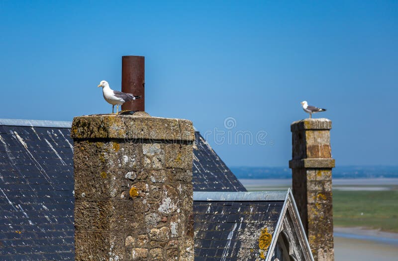 Mont Saint Michel, la Bretagne, France photos stock Mont Saint Michel, la Bretagne, France photos stock