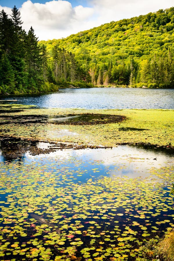 Mont-Tremblant nationalpark - ¡ la Perle för gummilacka à arkivfoton Mont-Tremblant nationalpark - ¡ la Perle för gummilacka à arkivfoton