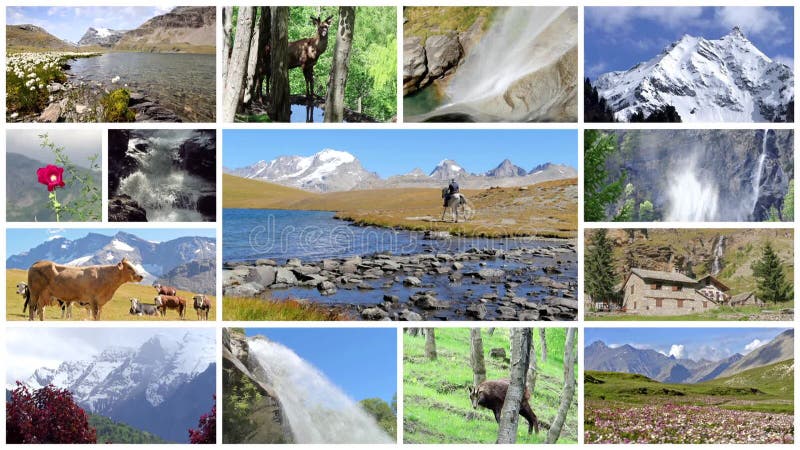 Montagem dos cumes Paisagens, animais e povos no selvagem