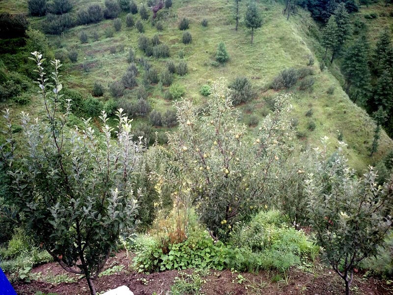 Montagna bella con amore in selvaggio immagine stock Montagna bella con amore in selvaggio immagine stock