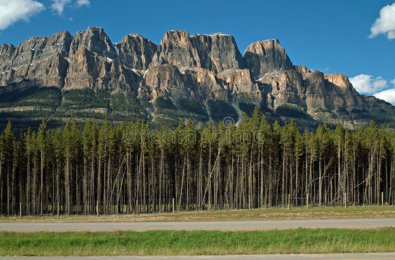 Montagna del castello, parco nazionale di Banff, Alberta, Canada. immagini stock Montagna del castello, parco nazionale di Banff, Alberta, Canada. immagini stock