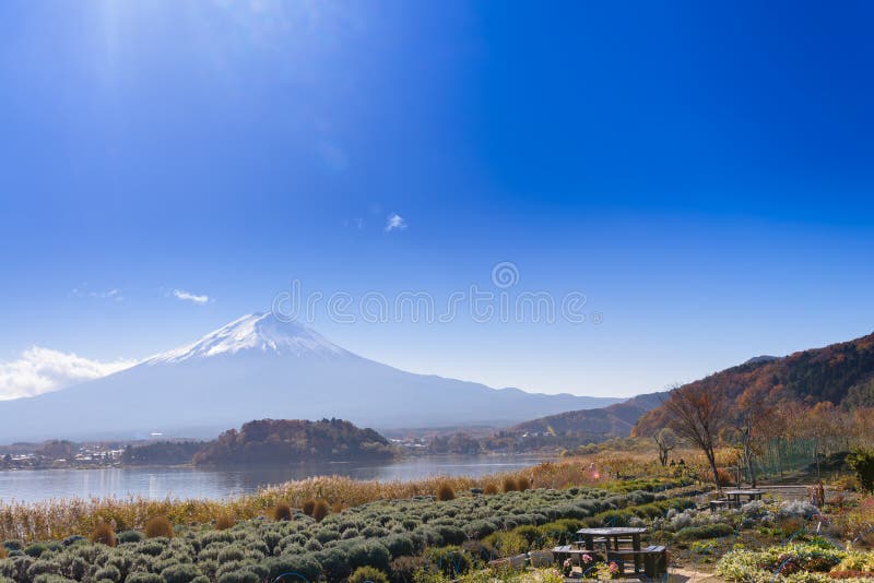 montagna di Fuji sulla vista del fondo del cielo blu dal kawaguch del lago fotografia stock libera da diritti montagna di Fuji sulla vista del fondo del cielo blu dal kawaguch del lago fotografia stock libera da diritti