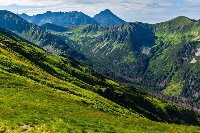 Montagna Di Tatra Di Estate, Polonia Fotografia Stock Immagine di roccia, erba 29575498