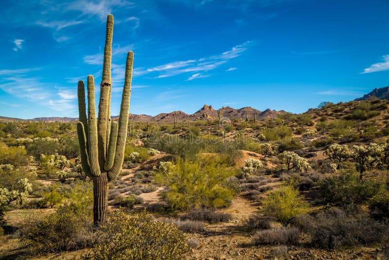 Montagne Arizona di superstizione fotografia stock libera da diritti Montagne Arizona di superstizione fotografia stock libera da diritti