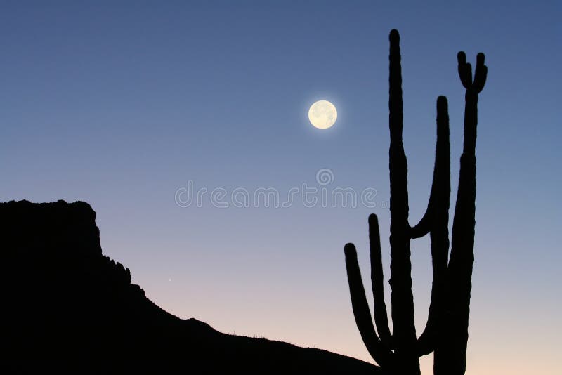 Montagne, cactus et lune photographie stock Montagne, cactus et lune photographie stock