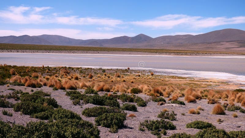 Montagne dans Altiplano La Bolivie, Amérique du Sud photo stock Montagne dans Altiplano La Bolivie, Amérique du Sud photo stock