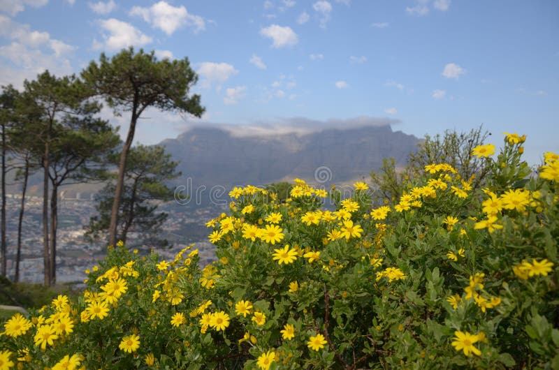 Montagne de Tableau, Capetown photographie stock Montagne de Tableau, Capetown photographie stock