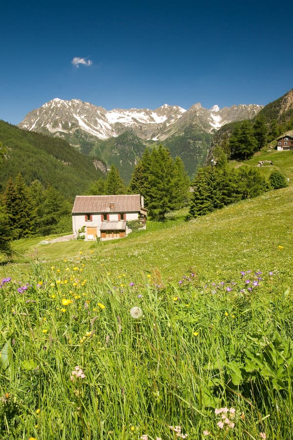 Montagne estive fotografie stock