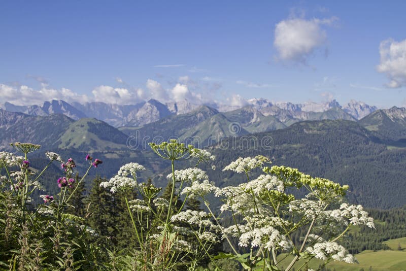 Montagne di estate im Karwendel fotografia stock libera da diritti
