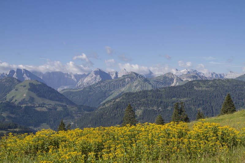 Montagne di estate im Karwendel fotografie stock