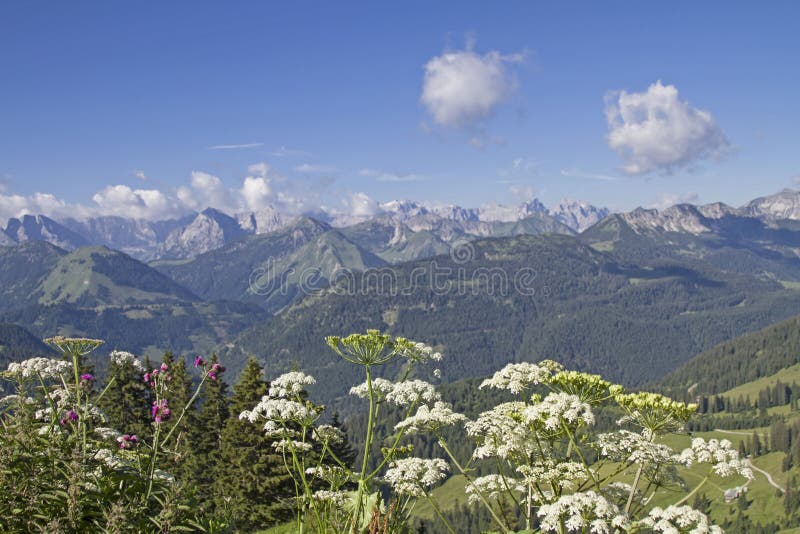 Montagne di estate im Karwendel immagini stock