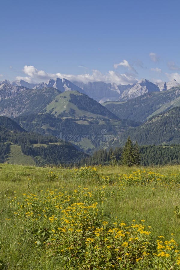 Montagne di estate im Karwendel fotografia stock libera da diritti