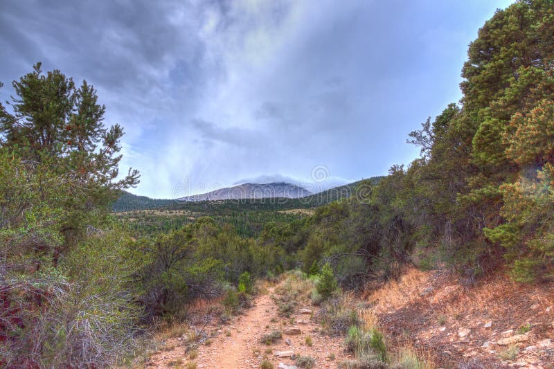 NV-Humboldt-Toiyabe National Forest-Spring Mountains National Recreational area-Mt. Charlesto. NV-Humboldt-Toiyabe National Forest-Spring Mountains National Recreational area-Mt. Charlesto