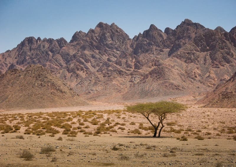Montagne nel deserto di Sinai, vicino a Sharm el-Sheikh fotografie stock Montagne nel deserto di Sinai, vicino a Sharm el-Sheikh fotografie stock