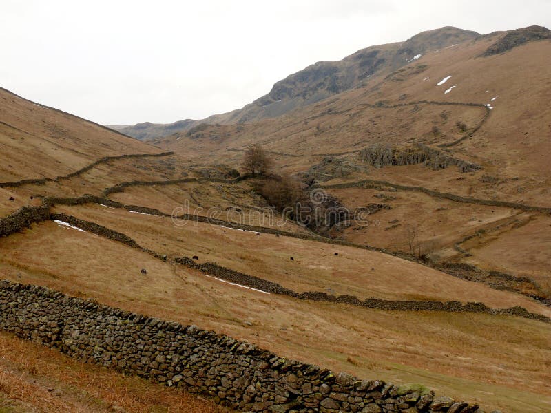 Download Montagnes Au Secteur De Lac, Cumbria, Angleterre R-U Photo stock - Image du pierre, murs: 56489072