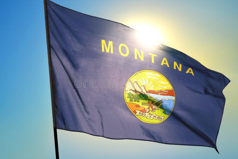 Montana State of United States Flag Waving on the Wind Stock Image