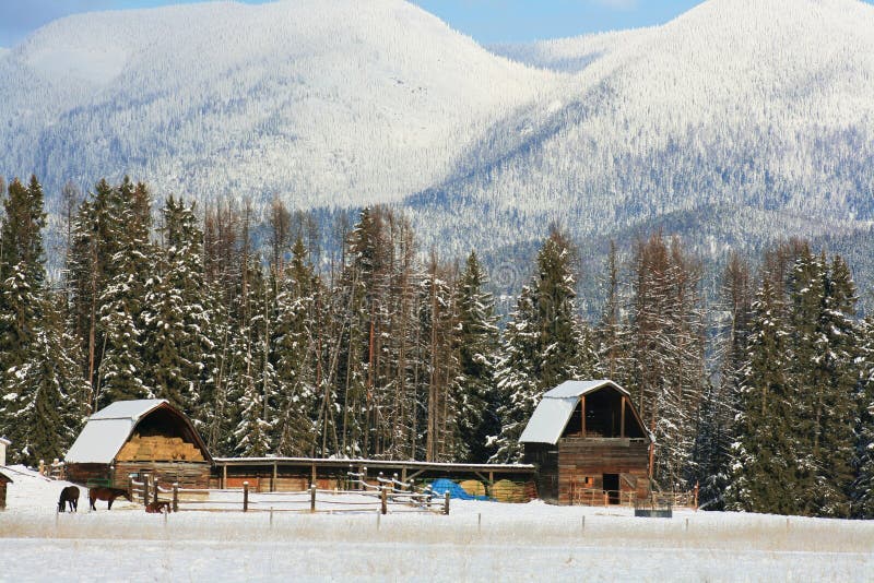 Montana winter stock photo. Image of whitefish, flathead 7270436