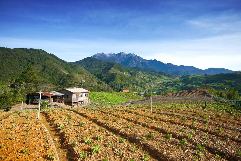 A montanha mais alta da Malásia, o Monte Kinabalu fotos de stock