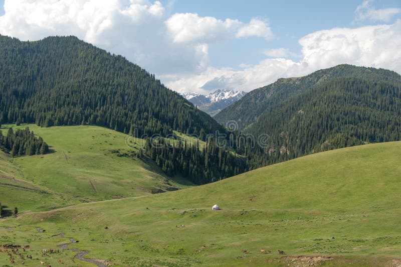 Montanha, montagem, monte imagens de stock royalty free