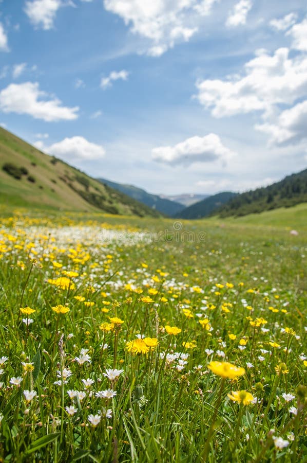 Montanha, montagem, monte imagem de stock royalty free