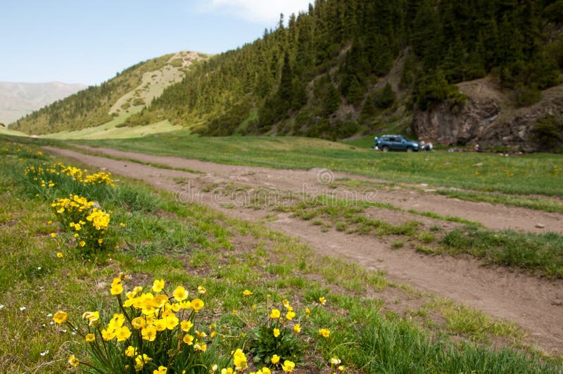 Montanha, montagem, monte foto de stock royalty free