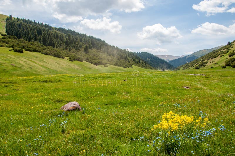 Montanha, montagem, monte foto de stock