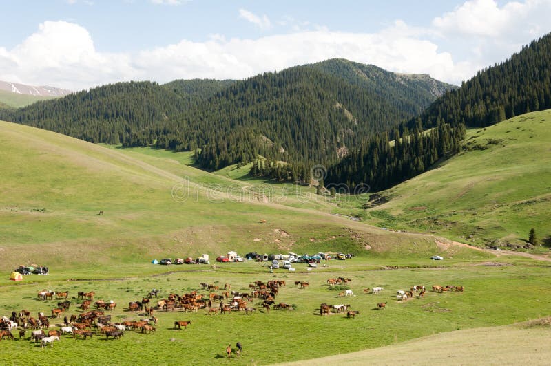 Montanha, montagem, monte fotos de stock royalty free