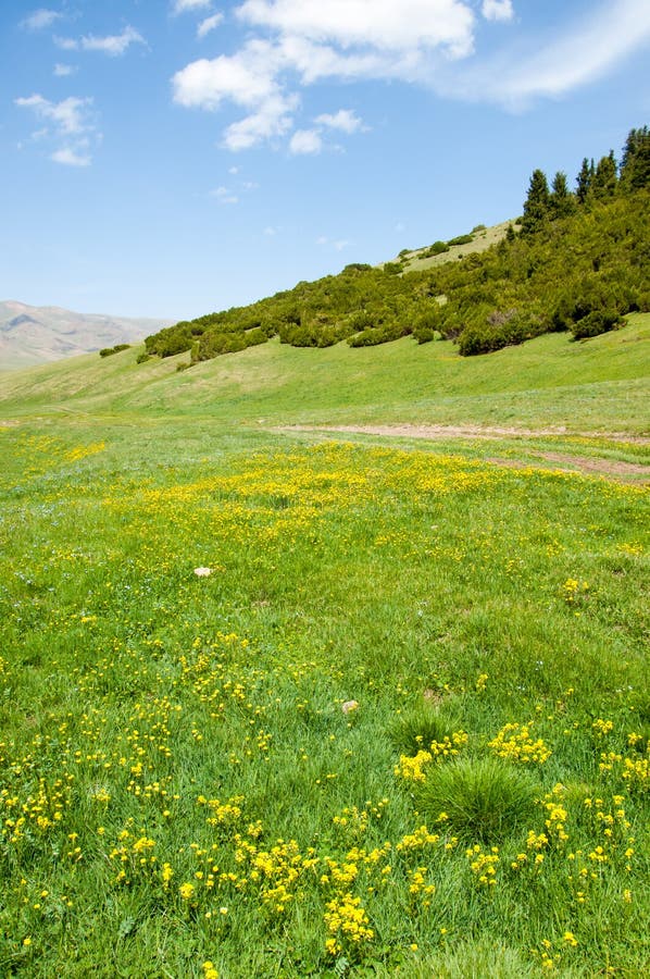 Montanha, montagem, monte imagens de stock