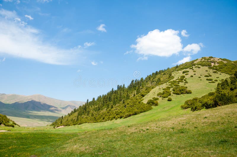 Montanha, montagem, monte imagem de stock royalty free