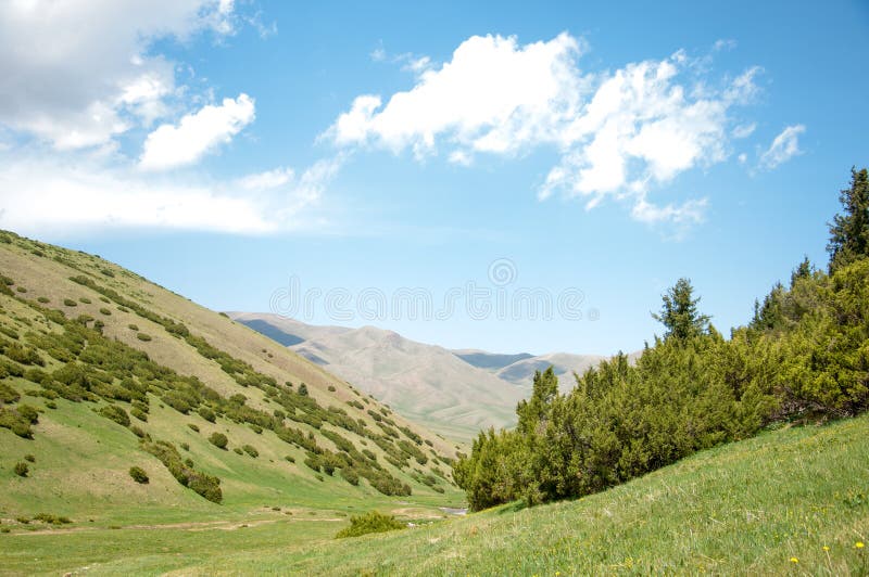 Montanha, montagem, monte fotos de stock