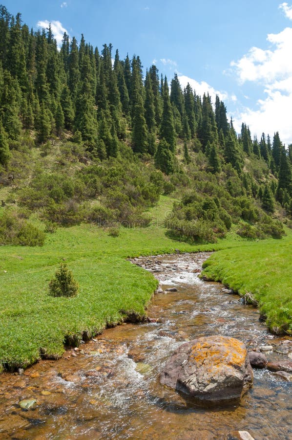 Montanha, montagem, monte fotos de stock royalty free