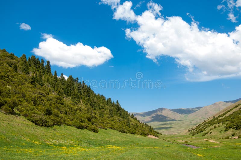 Montanha, montagem, monte imagem de stock royalty free